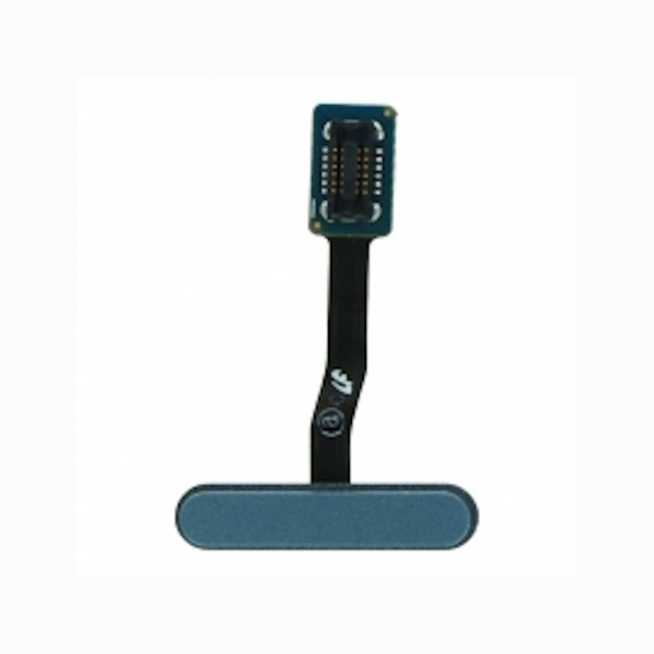 Nappe lecteur d'empreintes pour Samsung Galaxy S10e Bleu