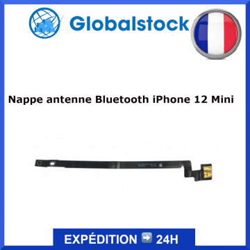 Antenne / Nappe réseau iPhone 12 Mini - Envoi gratuit 24h
