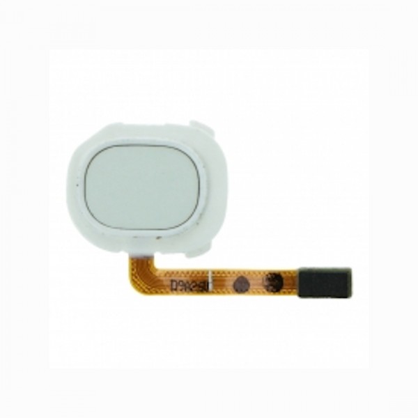 Câble flexible de capteur d'empreintes pour Samsung Galaxy A20e Blanc