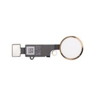 Nappe bouton iPhone 7 /Gold - Envoi gratuit 24h