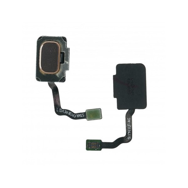 Lecteur d'empreintes digitales pour Samsung Galaxy S9 Plus G965F / S9 G960F Or