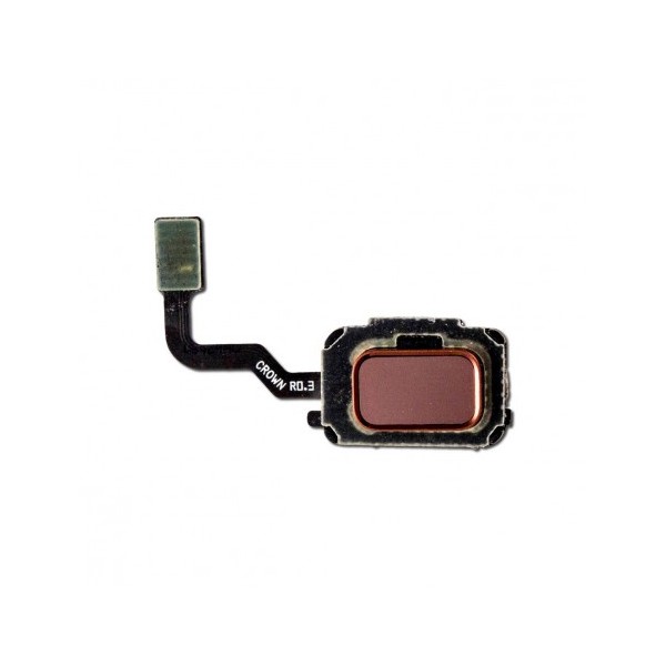 Nappe lecteur d'empreintes pour Samsung Galaxy Note 9 Cuivre Métallique (N960)