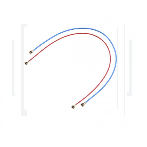 Cable coaxial fil antenne réseau pour Samsung Galaxy A33 5G A336