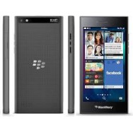 Blackberry Leap-16Go-Gris