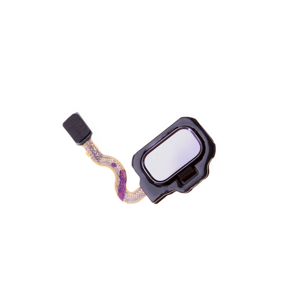 Nappe capteur d'empreinte Argent polaire Samsung Galaxy S8 +