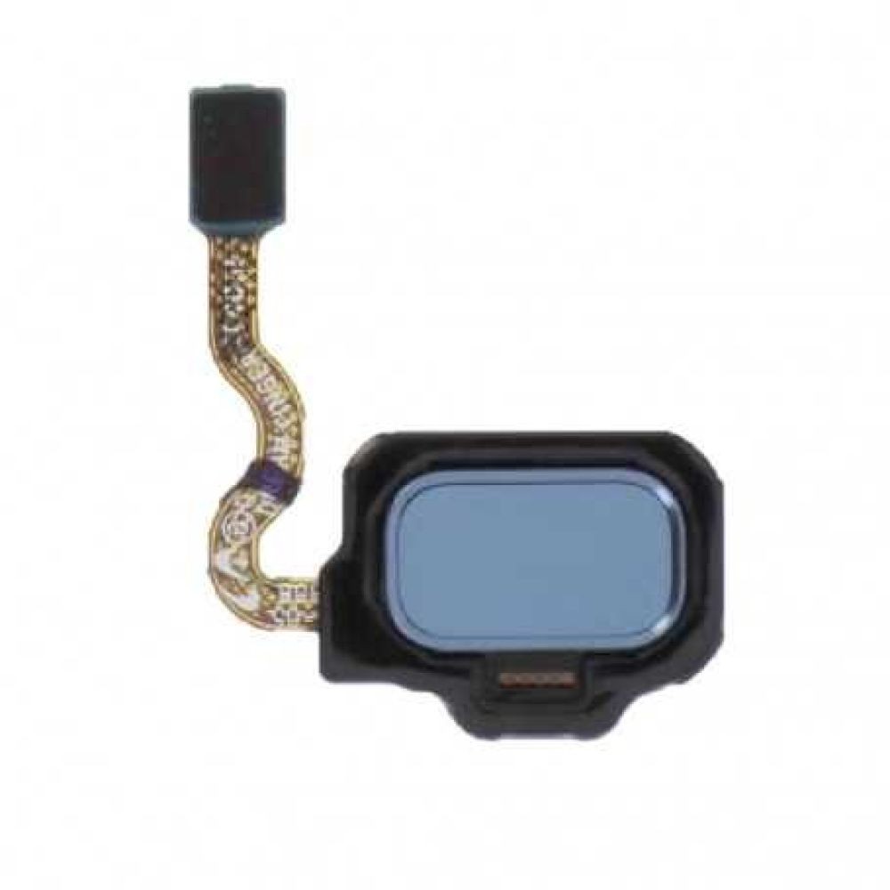 Nappe capteur d'empreinte Bleu océan Samsung Galaxy S8 / S8+ Bleu ocean