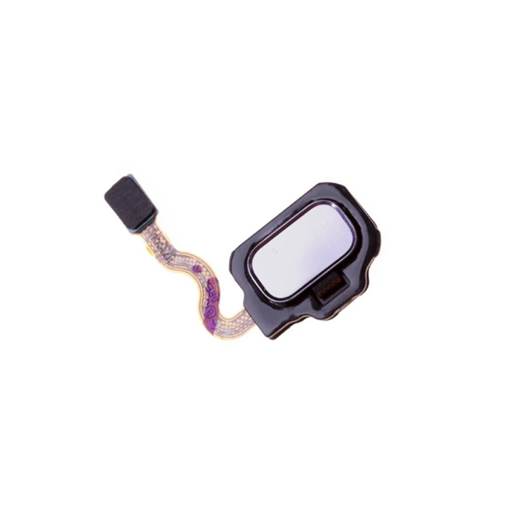 Nappe capteur d'empreinte Argent polaire Samsung Galaxy S8