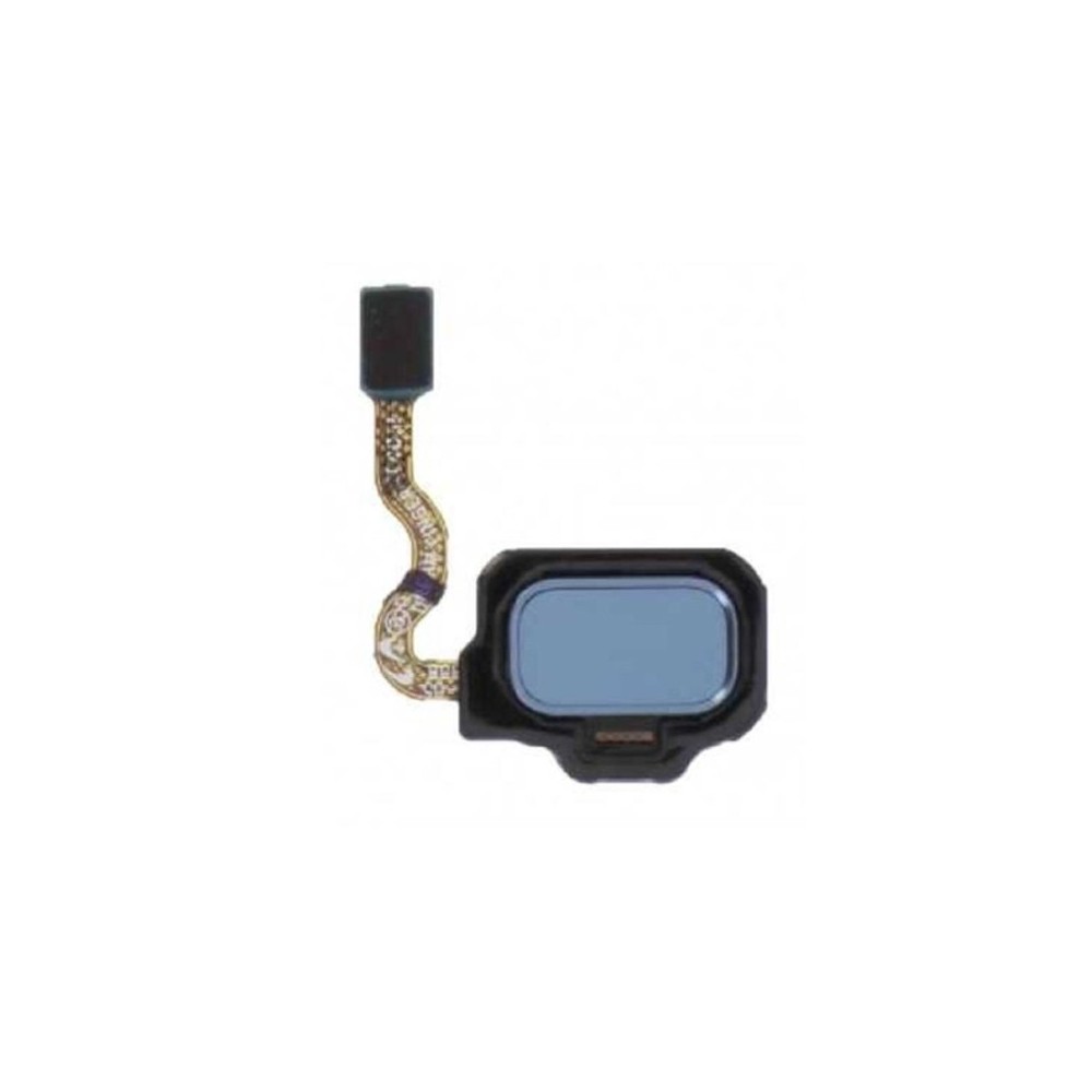 Nappe capteur d'empreinte Bleu océan Samsung Galaxy S8 / S8+ Bleu ocean