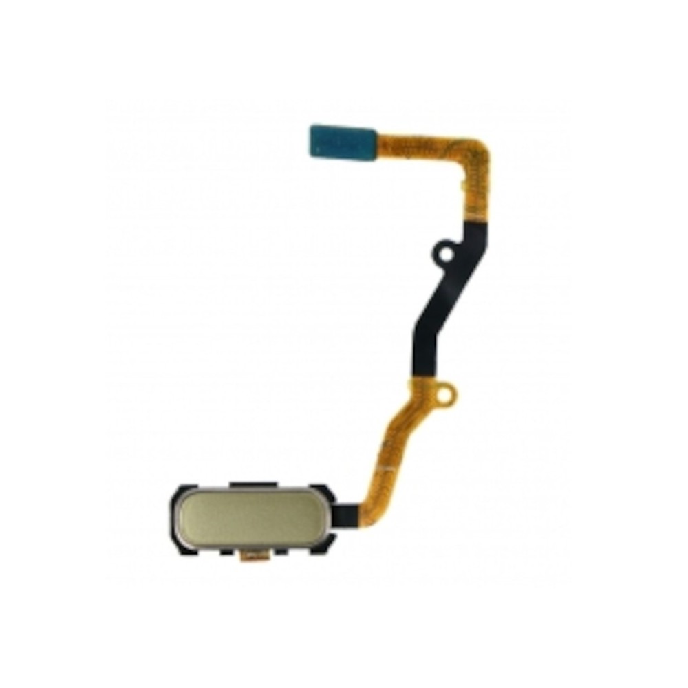 Câble flexible de capteur d'empreintes Samsung Galaxy S7 edge / Or Gold