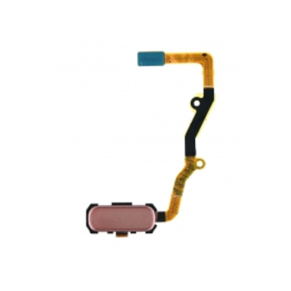 Câble flexible de capteur d'empreintes Samsung Galaxy S7 edge Rose
