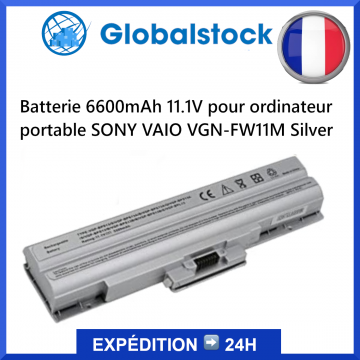 Batterie ordinateur portable SONY VAIO VGN-FW11M pour ordinateur portable - Qualité premium