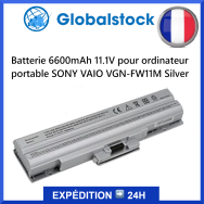 Batterie ordinateur portable SONY VAIO VGN-FW11M pour ordinateur portable - Qualité premium