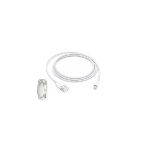 Câble Usb Lighthing pour iPhone 5/6/6S/X/XR/XS/XS MAX