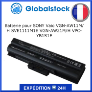 Batterie SONY Vaio VGN-AW11M/H SVE1111M1E VGN-AW21M/H VPC-YB1S1E pour ordinateur portable - Qualité premium