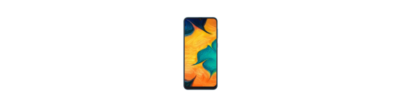 pièces détachées pour Samsung Galaxy A30 (A305F)
