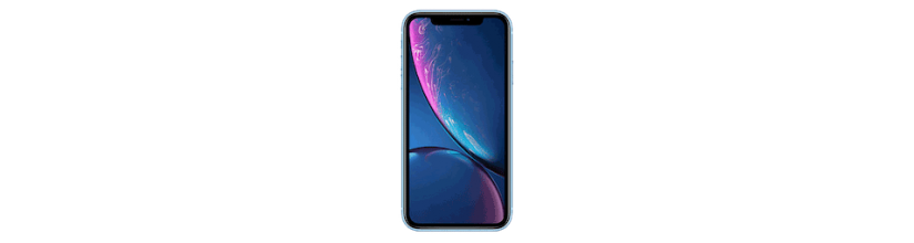 iPhone XR