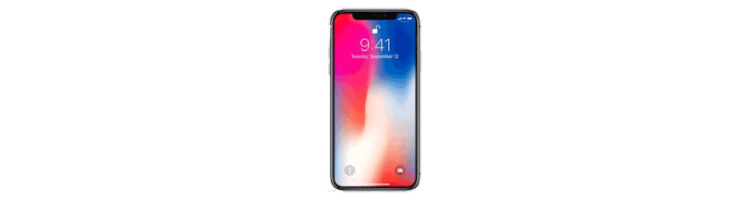 iPhone X