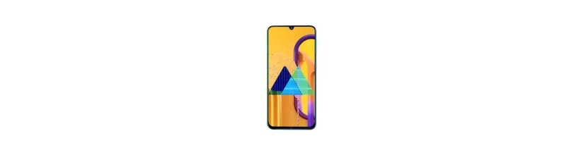 M30 (M305F)